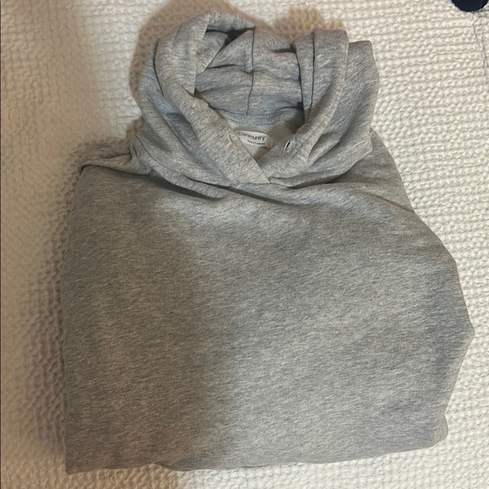 Aritzia community hoodie